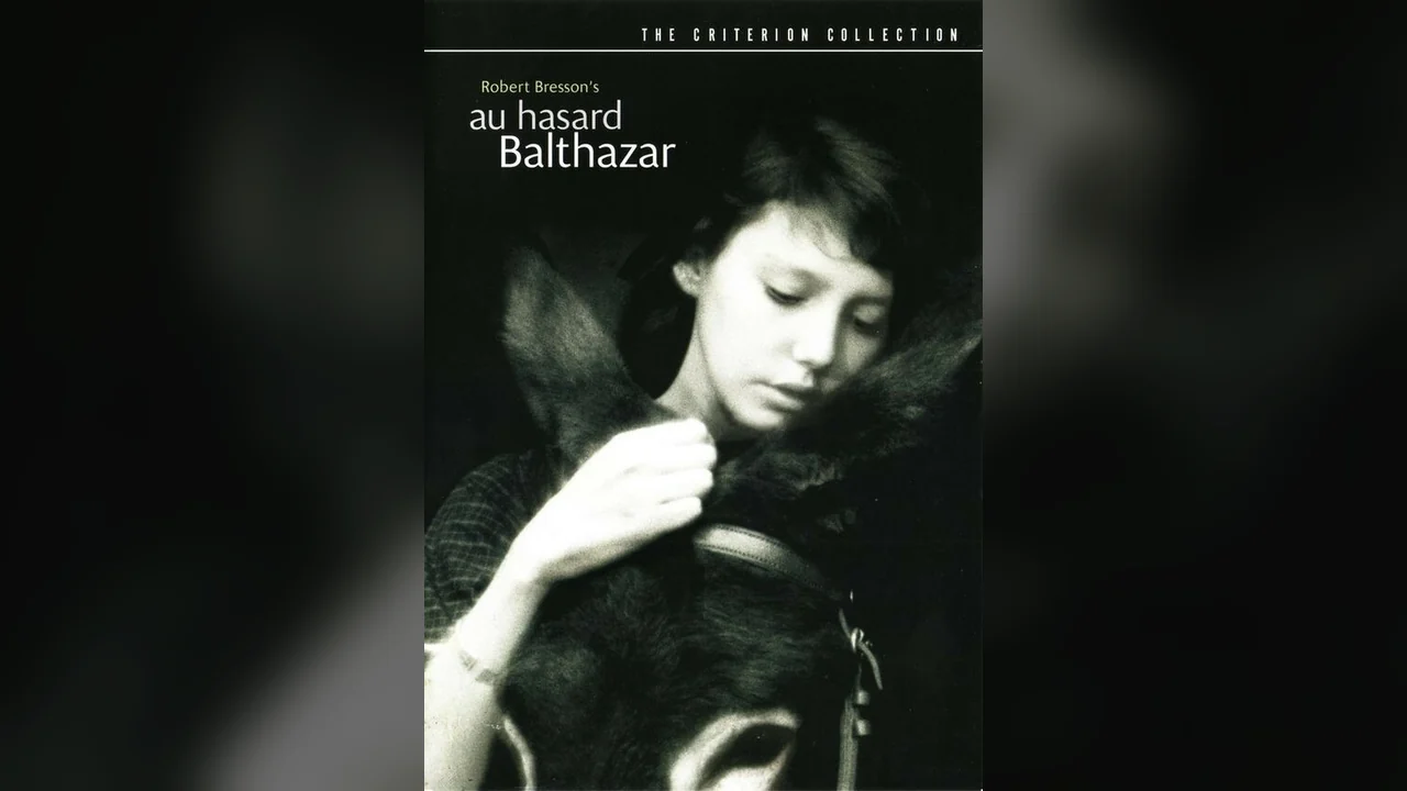 Фильм Наудачу, Бальтазар (1966)